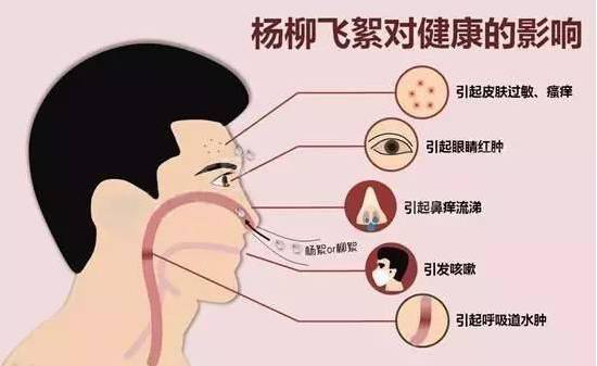 柳絮過(guò)敏讓你鼻子發(fā)癢，空氣堡新風(fēng)系統(tǒng)讓你舒爽