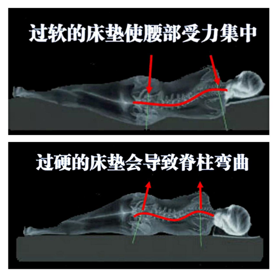 康麗萊:優(yōu)質(zhì)的睡眠從找到適合自己的床墊開(kāi)始